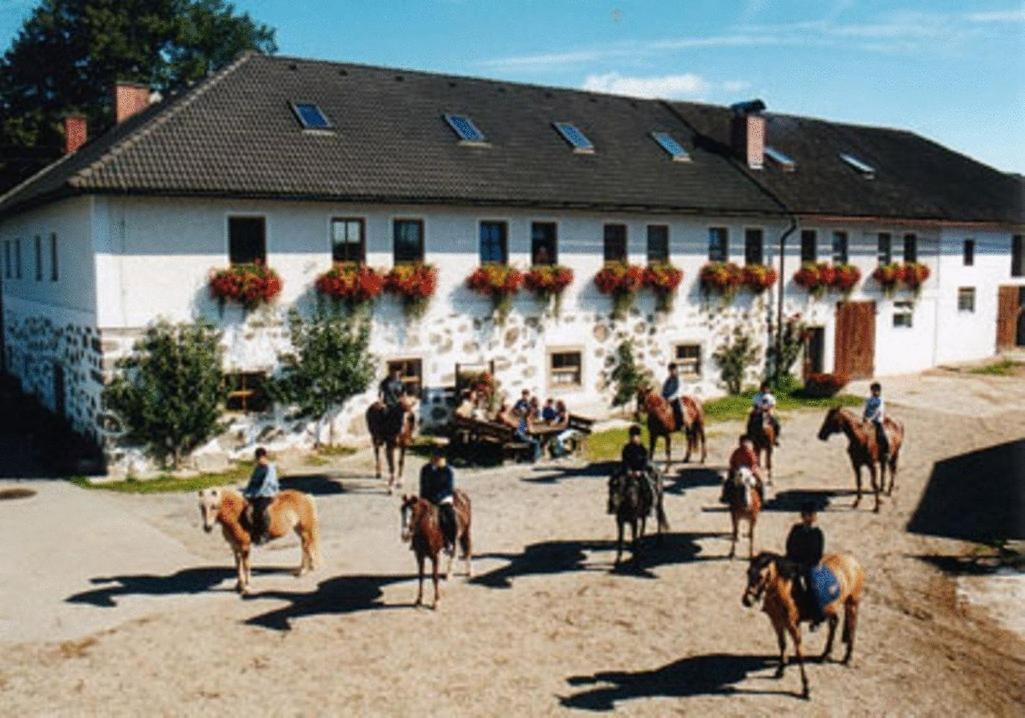 Reiterhof Stoeglehner Villa Rainbach im Muhlkreis Ngoại thất bức ảnh
